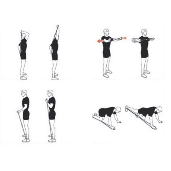 Bande Elastique d'Entraînement