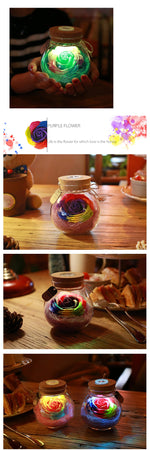 Bouteille Rose Lumineuse - 3 couleurs disponibles